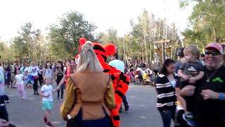Winnie the Pooh | Tigger | Walt Disney World | wdw