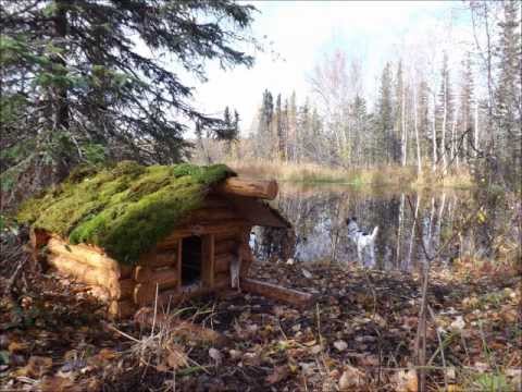 Casey's log cabin doghouse - YouTube