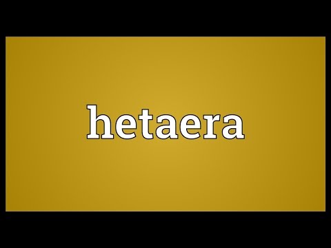 Header of hetaera