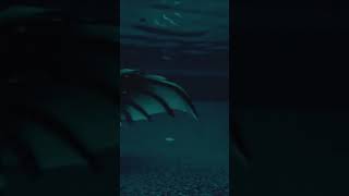 Night Siren Underwater
