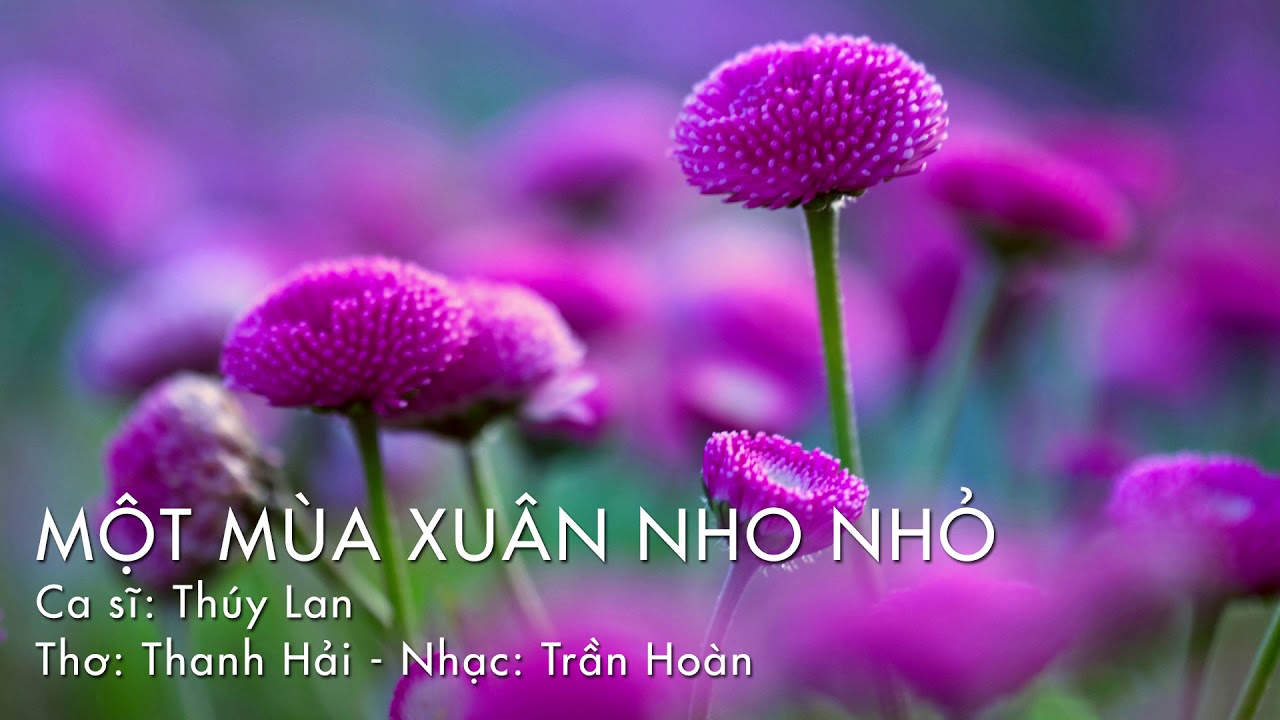 phân tích ba khổ thơ cuối bài mùa xuân nho nhỏ