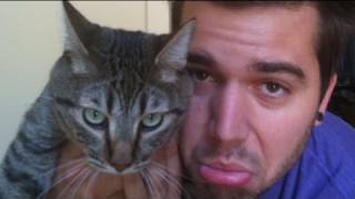Not So Mean Kitty (7.13.09 – Day 74)