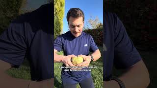 Lanone Cherimoya Le Fruit Exotique Au Goût De Crème Vanillée