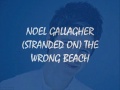 Noel Gallagher's High Flying Birds The death of you and me lyric video
