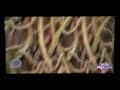 Zelda Ocarina of Time 3DS PLAYTHROUGH - Part 2! HOT! (Let's Play Gameplay) 2
