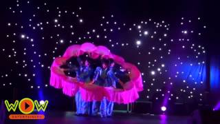 Chinese Lion And Fan Dance Wow Entertainers Chinese Lion And Fan Dance Wow Entertainers