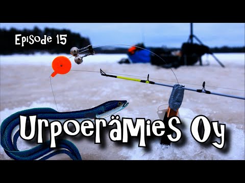 Urpoermies Oy - Ankeriaspilkill 