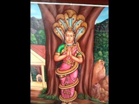 Jakkamma 2014.....5th song Naaga Kaliamman.....urumi melam