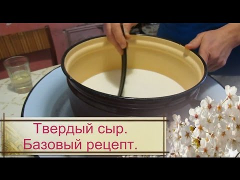 Рецепт сыра на пепсине