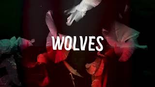 Bearcubs - Wolves