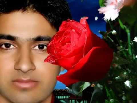 Phool phool pe bani teri tasveer danish