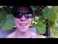 Mr Olympia 2013 Predictions images Mr Olympia 2013 Predictions