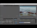Bài tập Quay nhanh, quay chậm, quay ngược lại video với Adobe Premiere CC 2015