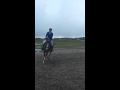 Elbino van de Eenhoorn L parcours Heiloo