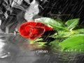 Download Majid al reme7 - Ad el7al 2011 مجيد الرمح MP3 song and Music Video