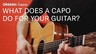 What Is A Guitar Capo and What Does It Do?