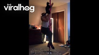 Cat And Its Owner Pole Dancing At Home Viralhog
