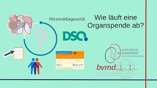 Wie läuft eine Organspende ab? || Aufklärung Organspende