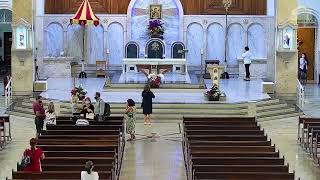 Santa Missa - Basílica Matriz de Campinas - 19h - 22/01/2021