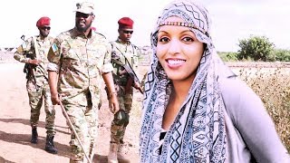 Nimco Dareen Jubaland Midowday Markale Iyo Madaxweyne Ahmed Mohamed Islam 2019