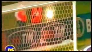 dPNjacus46o Video Image