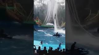 Young People Are All Watching This Video, Have You Watched Yet