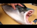 How To Fillet a Whole Hamachi - How To Make Sushi Series