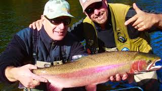 Dave Scadden's Rampaging Monster Steelhead