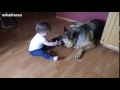 Dogs Love Babies Compilation 2014 [NEW]