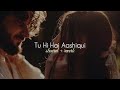 Tu Hi Hai Aashiqui (slowed + reverb)