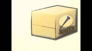 Ponies Sliding Into A Box