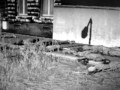 Video Executions in Sebastopol ww2 - part 1