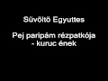 Hungarian Folk 2 -- track 3 of 11 -- Süvöltö Egyuttes -- Pej paripám rézpatkója - kuruc ének