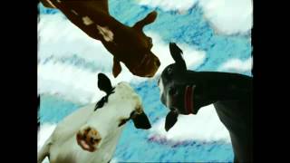 Nickelodeon - Cow Head Opener