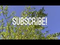 LawnCareMidwest