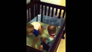 Two Monkeys Jumpn On The Bed