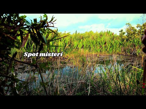 Sensasi mancing tidak akan terulang untuk kedua kali Sensasi mancing tidak akan terulang untuk kedua kali