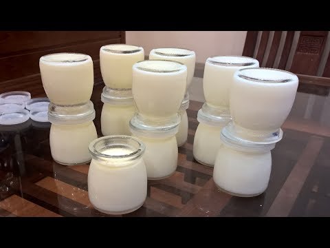 Cách làm sữa chua ngon cho trẻ nhỏ ăn dặm | RẺ MÀ NGON
