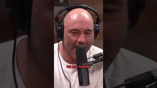 Crazy Pitbull Story