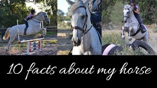 Meet my Horse!