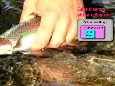 How to Understand Syllogisms