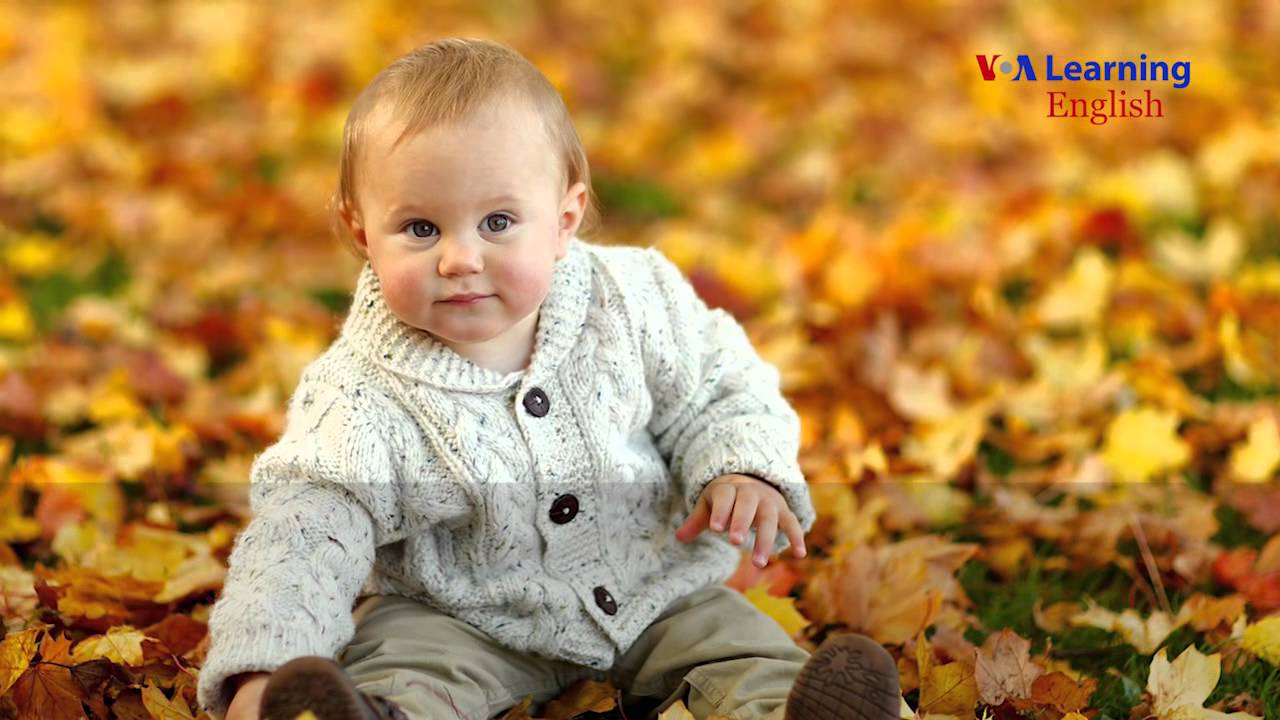 Дети в листьях фото Дети в листьях фото