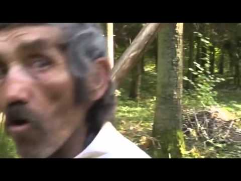 kurva
