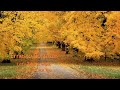 ERNESTO CORTAZAR - Let's Take A Walk(Romantic & Relaxing Piano Music)