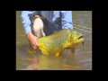 TERCER TIEMPO PESCA