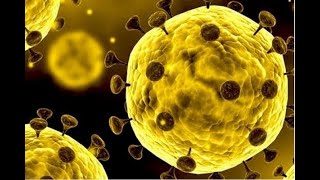 Coronavirus : Une chance ? ( Vidéo Bonus 27 )