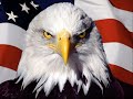 The Pledge Of Allegiance Video preview