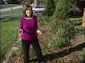 Invaded By Bugs? It's Just Nature, Expert Says