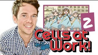 Real DOCTOR reacts to CELLS AT WORK! // Episode 2 // "Scrape Wound"