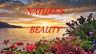 Nature 39 S Beauty Ft Pure Sounds Nature 39 S Beauty Ft Pure Sounds